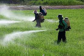 However, every chemical on the legal market must first be approved by a government agency called the environmental protection agency (or epa) before it is sold. March 9 2016 Quest