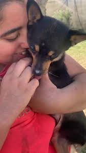 We are happy with all...