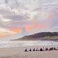 Bush to Beach Yoga Retreat 2026 event image