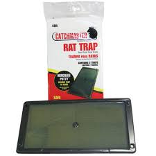A&e's do it yourself pest control, winder, georgia. We Sell Catchmaster Glue Boards Do It Yourself Pest Control Mouse Trap Fly Trap Spider Traps Rat Trap Catchmaster 48r Rat Glue Boards