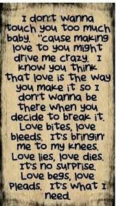 Love Bites Def Leppard Def Leppard Love Bites Favorite Lyrics Music Lyrics