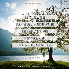 2 To The 1 To The 1 To The 3 I Like Good Trees He Is Like A Tree Planted By Streams Of Water That Yields Its Fruit In Season And It S Leaf Does Not Wither I Tree Of Life Meaning Tree Quotes Trees To