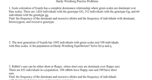 The book not only provides detailed advice on how to practise analytical skills, but also demonstrates how these skills can be used in research and writing. Hardy Weinberg Practice Problems Doc Google Docs