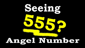555 Angel Number Meaning Message Part 3 Numerology Box Shorts