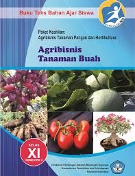 Contoh surat lamaran ke kantor kecamatan / contoh surat lamaran untuk pt yang baik dan benar. Agribisnis Tanaman Buah Xi 3