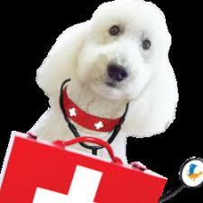 Additional cost is associated with bloodwork, fluid support, medications, etc. Ez Vet Veterinary Clinic Veterinarians 20020 Ashbrook Commons Plz Ashburn Va Phone Number Yelp