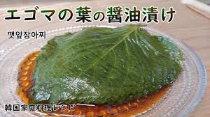 エゴマの葉の醤油漬け 余った漬け汁はドレッシングに活用できるケン二プチャンアチ 新じゃがの季節によく作る 韓国の蒸しじゃがいも 깻잎장아찌 찐감자 Youtube