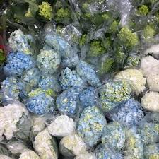 We have your floral solutions! Chicago S Wholesale Florist Home Facebook