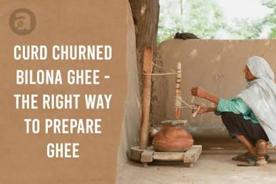 Traditional Bilona churning process using a wooden churner, AI generated