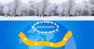 Proudly serving south & north carolina since 2017. Good News Polar Vortex May Have Killed Off Many Nj Pests Nj Pest