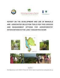 Image result for Tetradenia tanganyikae