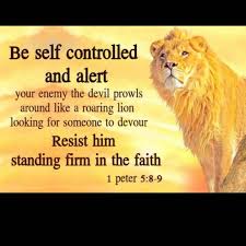 See more of 1 peter 5:9 on facebook. Pin On Christian Quotes