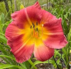 That's a wrap! Our first...