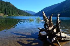 Vacation Homes Near Lake Kachess, Washington: House Rentals & More | Vrbo