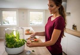 Check spelling or type a new query. Best Indoor Herb Garden With Artificial Light