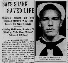 Beyond Shark Attacks: 3 Unusual But True Shark Stories