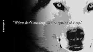 Wolf Or Sheep Which Are You 9gag