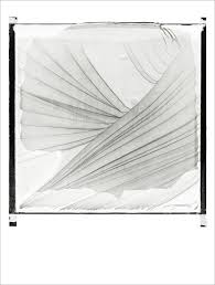 Bildergebnis für Maria Laet