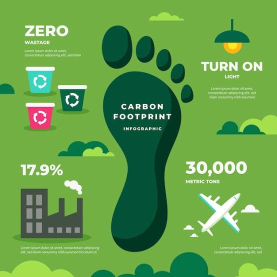Apa Itu Carbon Footprint Tracking? Penjelasan untuk Pemula