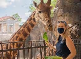 Houston Zoo Tickets Prices Discounts Free Days Hours Zoo Map