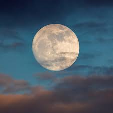 Im februar und november haben sie viele unterschiedliche wünsche, wie zum beispiel einen jobwechsel, aber sie werden nicht alle davon weiterverfolgen. Pinker Supermond Im April 2021 Das Bedeutet Er Fur Ihr Sternzeichen Vogue Germany