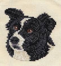 Myndaniðurstaða Fyrir Border Collie Knitting Chart Border