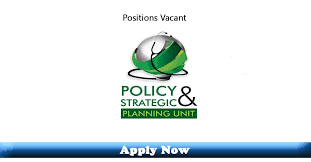 Jobs In Policy And Strategic Planning Unit Punjab 2020 Apply Now Latest Jobs In Pakistan In 2020 Jobs In Pakistan Strategic Planning Latest Jobs In Pakistan
