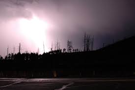 Lightning and dead trees