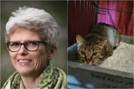 Dyr, Sogn og Fjordane