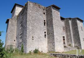 En Pays Gascon Un Chateau De Village Inscrit Mh Dans Un Domaine De Trois Hectares D Un Seul Tenant Chateau Chateau A Vendre Chateau France
