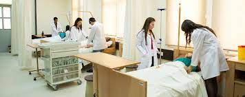 Antalya'da 2019 hemşirelik haftası sempozyumu. Hemsirelik Bolumu Dogu Akdeniz Universitesi Dau Kibris