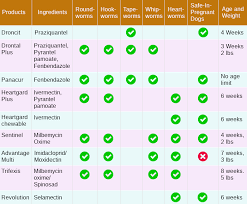 Guide To Choosing Best Dog Cat Dewormers Comparison Chart