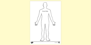 Even if you have a color printer, i prefer the black and white version which the kids can color in themselves. Human Body Colouring Colouring Sheets