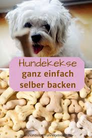 Hundekekse Selber Backen 6 Tolle Rezepte Ohne Getreide Hunde Kekse Rezept Hundekekse Hunde Kuchen