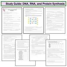 Protein synthesis lab 37 answers, protein synthesis worksheet quizlet. Dna Rna Protein Synthesis Study Guide Printable And Digital Distance Learning