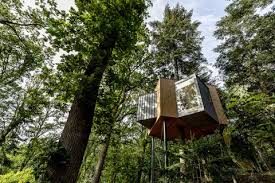Maybe you would like to learn more about one of these? Sensasi Menginap Di Rumah Pohon Lovtag