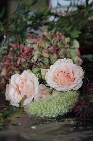 Inside Achillea Flower Shop Quirky Flower Adventure The Smell Of Roses The Smell Of Roses