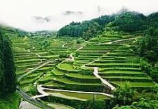 Terrace (earthworks) - Wikipedia