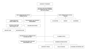 40 organizational chart templates word excel powerpoint. Organizational Chart Bukidnon State University