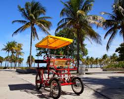 Lush plants make the walkways beautiful. Rent A Bike At Crandon Park In Key Biscayne And Enjoy The Whole Length Of The Oceanside Park Located Only 10 Minu Crandon Park Miami Beach Travel Key Biscayne