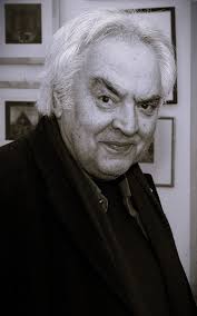 Bildergebnis für Edin  Numankadic