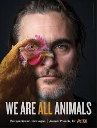 Pin On Celebs For Animal Rights