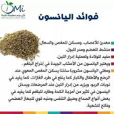 نصائح رمضانيه فوائد اليانسون Health Facts Food Health And Nutrition Health Diet