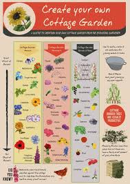 Pin By Helen Wayer On Garden Cottage Garden Plants Gardening Infographic Cottage Garden