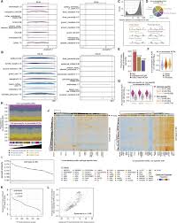 Berikut dikongsikan ranking senarai sekolah terbaik sbp untuk result spm 2020 telah diumumkan pada 10 jun 2021. A Cis Regulatory Atlas In Maize At Single Cell Resolution Sciencedirect