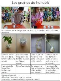 Ecole Maternelle Leo Lagrange Des Haricots Science Pour Enfants Jardinons A L Ecole Ecole