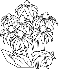 Disegno floreale disegni di fiori schizzi di fiori motivi ricamati ricamo a mano libri da colorare disegni da colorare doodle sui fiori decorazione arte murale. Disegni Per Bambini Da Stampare E Colorare Fiori By Megghy Net