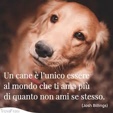 Le Frasi Sui Cani Per I Nostri Amici A Quattro Zampe Trovafrasi