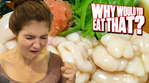 Makayla cox deepthroating and swallowing. Shirako Aka Buttery Fish Semen Why Would You Eat That Youtube