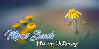 Maybe you would like to learn more about one of these? The 13 Best Options For Flower Delivery In Miami Beach 2021